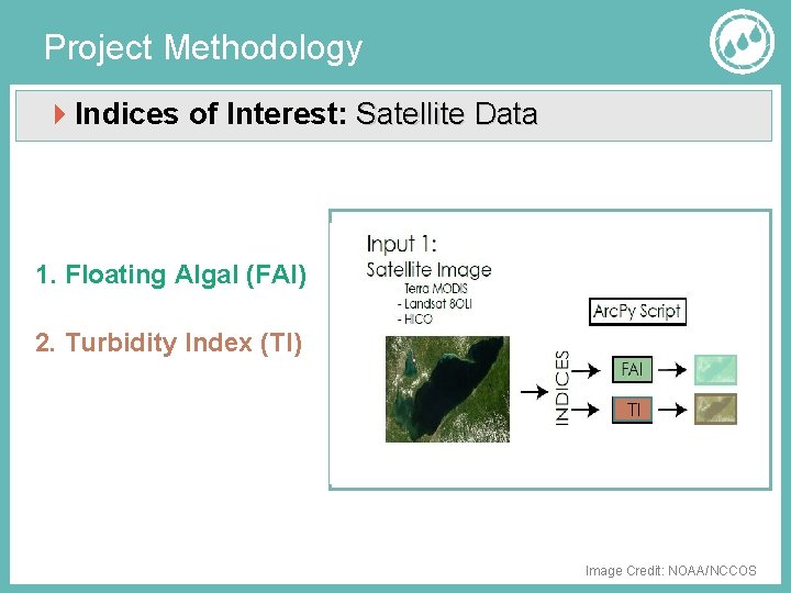 Project Methodology Indices of Interest: Satellite Data 1. Floating Algal (FAI) 2. Turbidity Index