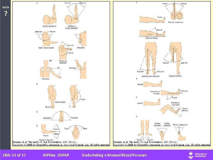 WEEK ? Slide 13 of 17 MPHxx OSPAP Undertaking a Manual Blood Pressure 