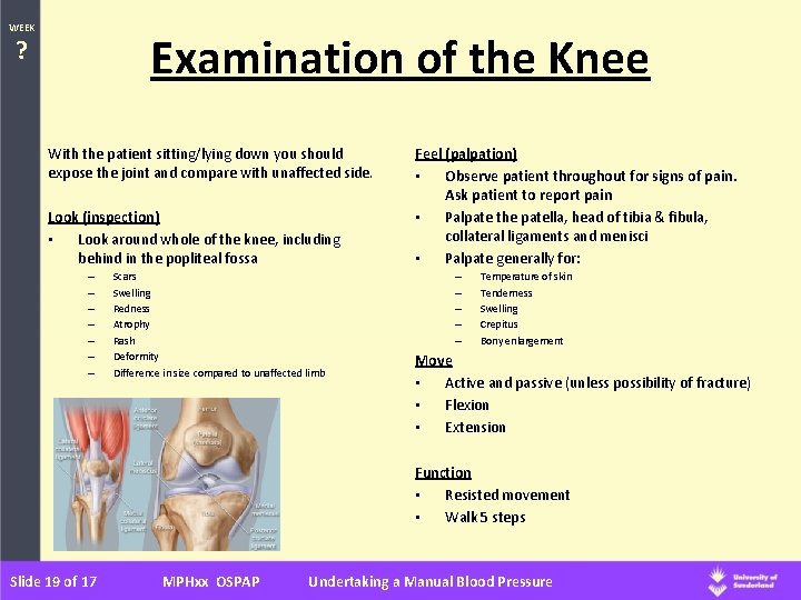 WEEK Examination of the Knee ? With the patient sitting/lying down you should expose