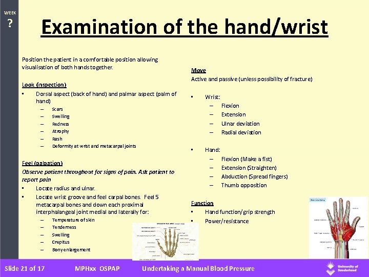 WEEK ? Examination of the hand/wrist Position the patient in a comfortable position allowing