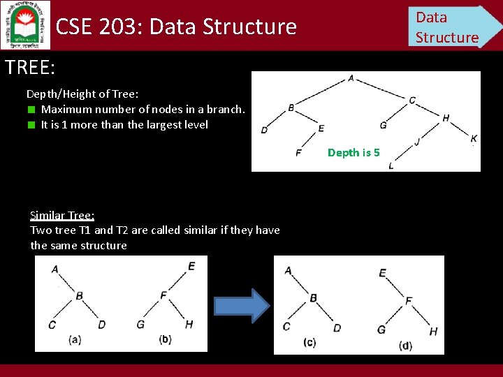 Data Structure CSE 203: Data Structure TREE: Depth/Height of Tree: Maximum number of nodes