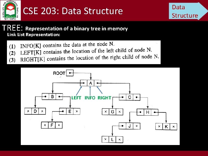 CSE 203: Data Structure TREE: Representation of a binary tree in memory Link List