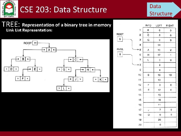 CSE 203: Data Structure TREE: Representation of a binary tree in memory Link List