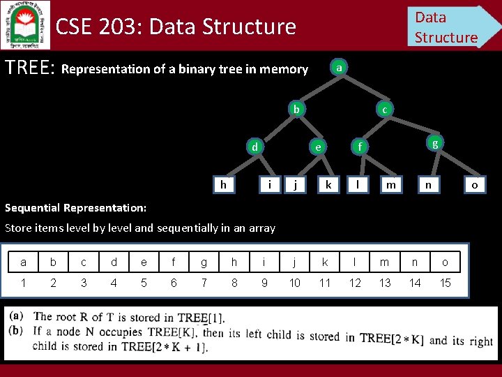 Data Structure CSE 203: Data Structure TREE: Representation of a binary tree in memory