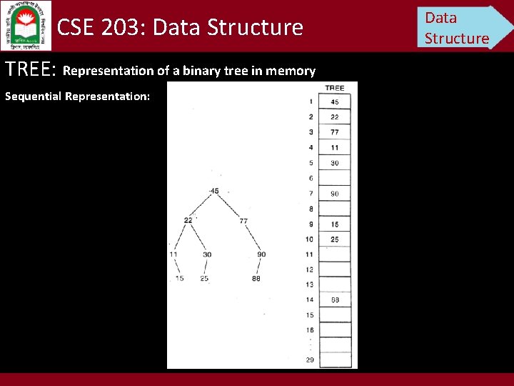 CSE 203: Data Structure TREE: Representation of a binary tree in memory Sequential Representation: