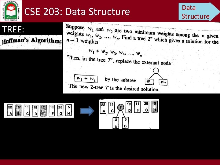 CSE 203: Data Structure TREE: Data Structure 