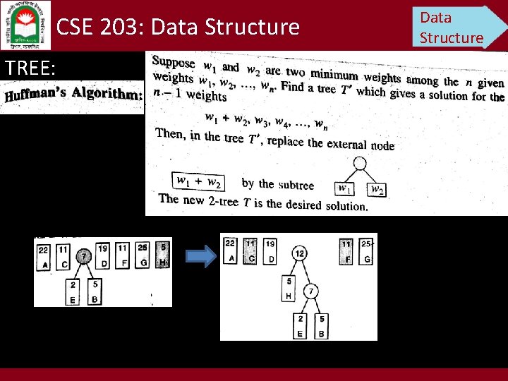 CSE 203: Data Structure TREE: Data Structure 