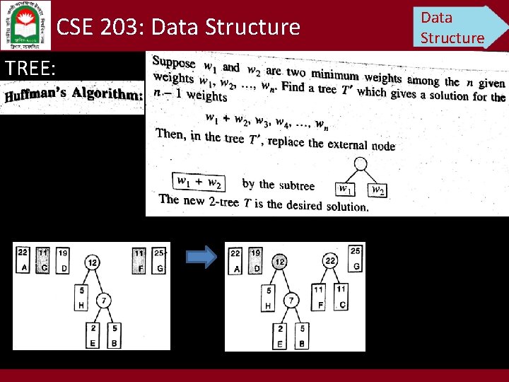 CSE 203: Data Structure TREE: Data Structure 