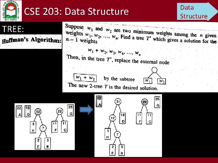 CSE 203: Data Structure TREE: Data Structure 