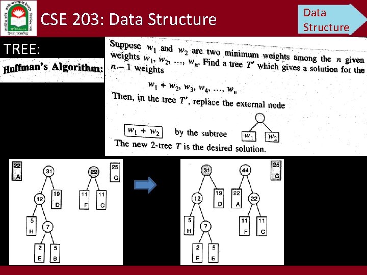 CSE 203: Data Structure TREE: Data Structure 