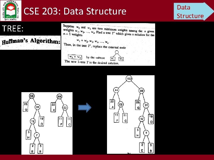 CSE 203: Data Structure TREE: Data Structure 
