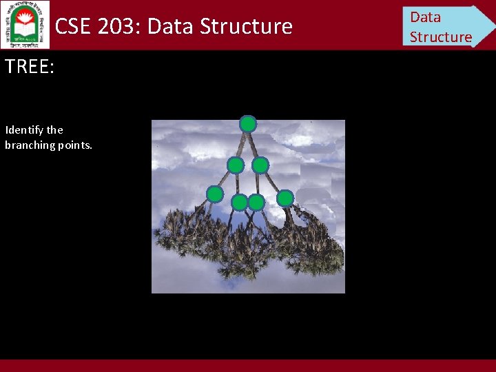 CSE 203: Data Structure TREE: Identify the branching points. Data Structure 