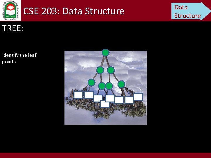 CSE 203: Data Structure TREE: Identify the leaf points. Data Structure 