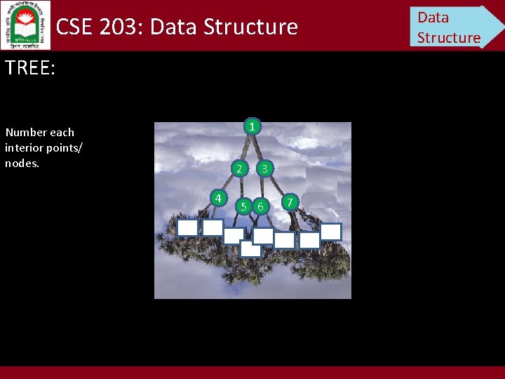 CSE 203: Data Structure TREE: 1 Number each interior points/ nodes. 2 4 3