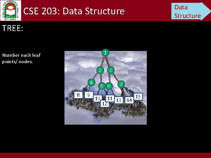 CSE 203: Data Structure TREE: 1 Number each leaf points/ nodes. 2 4 8