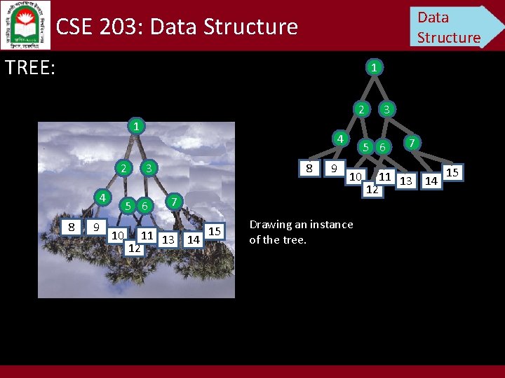 Data Structure CSE 203: Data Structure TREE: 1 2 4 8 9 4 3