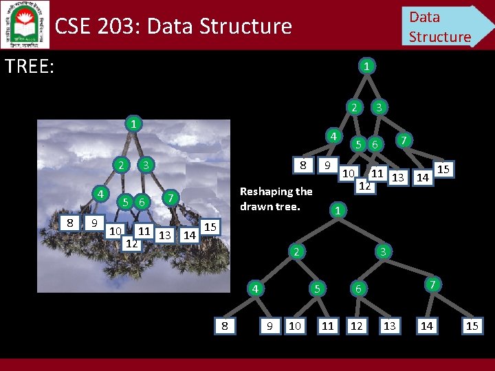 Data Structure CSE 203: Data Structure TREE: 1 2 4 8 9 4 3