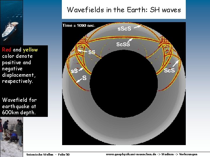 Wavefields in the Earth: SH waves Red and yellow color denote positive and negative