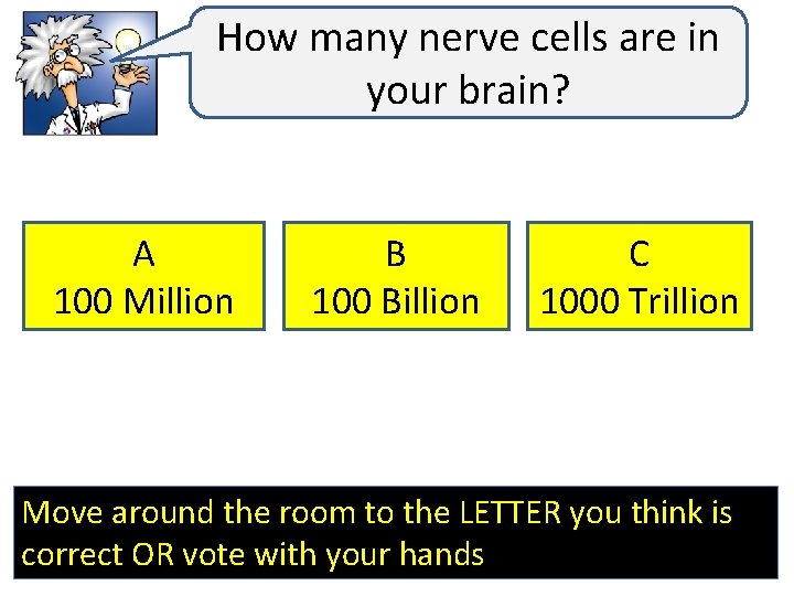 How many nerve cells are in your brain? A 100 Million B 100 Billion