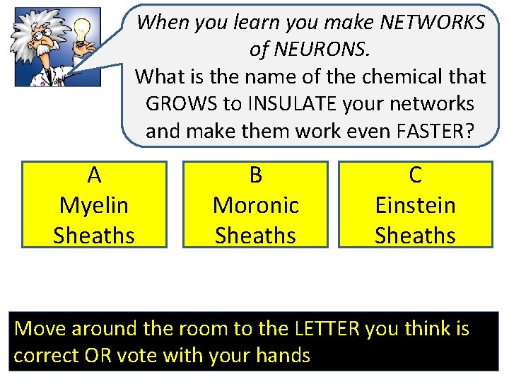 When you learn you make NETWORKS of NEURONS. What is the name of the
