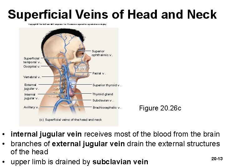 Superficial Veins of Head and Neck Copyright © The Mc. Graw-Hill Companies, Inc. Permission