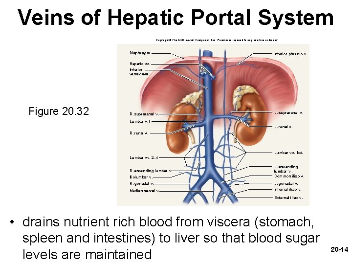 Veins of Hepatic Portal System Copyright © The Mc. Graw-Hill Companies, Inc. Permission required