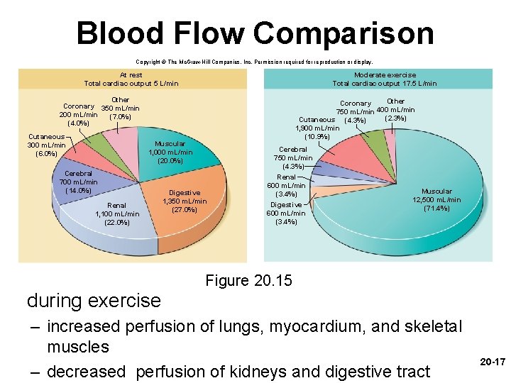 Blood Flow Comparison Copyright © The Mc. Graw-Hill Companies, Inc. Permission required for reproduction