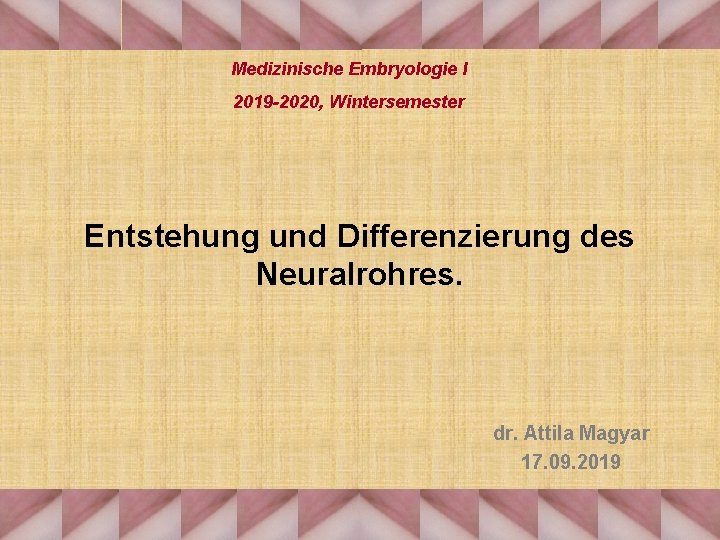 Medizinische Embryologie I 2019 -2020, Wintersemester Entstehung und Differenzierung des Neuralrohres. dr. Attila Magyar