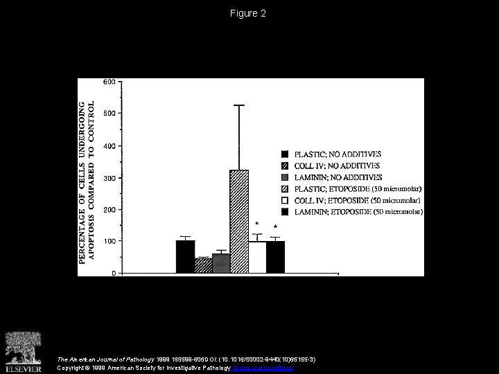 Figure 2 The American Journal of Pathology 1999 155599 -606 DOI: (10. 1016/S 0002