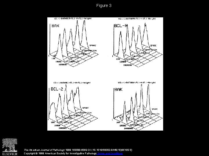 Figure 3 The American Journal of Pathology 1999 155599 -606 DOI: (10. 1016/S 0002