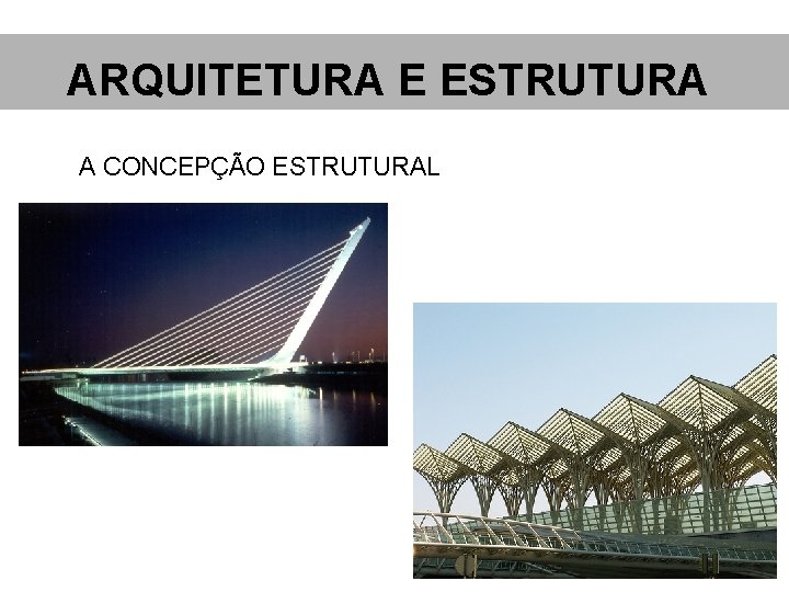 ARQUITETURA E ESTRUTURA A CONCEPÇÃO ESTRUTURAL 