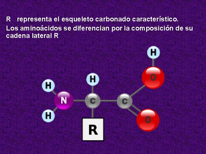 R representa el esqueleto carbonado característico. Los aminoácidos se diferencian por la composición de