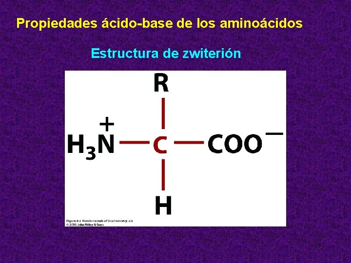 Propiedades ácido-base de los aminoácidos Estructura de zwiterión 19 