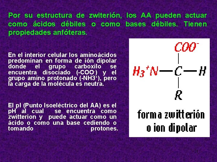 Por su estructura de zwiterión, los AA pueden actuar como ácidos débiles o como