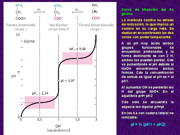 Curva de titulación del Aa glicina La molécula cambia su estado de ionización, lo