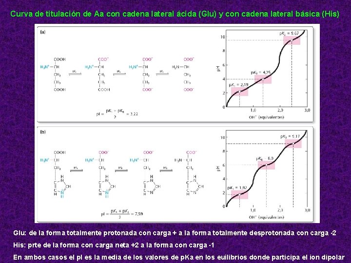 Curva de titulación de Aa con cadena lateral ácida (Glu) y con cadena lateral