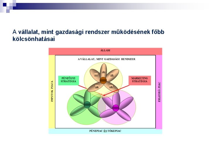 A vállalat, mint gazdasági rendszer működésének főbb kölcsönhatásai 