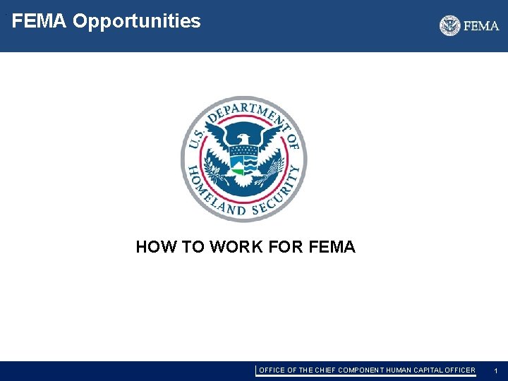 . FEMA Opportunities HOW TO WORK FOR FEMA 1 OFFICE OF THE CHIEF COMPONENT