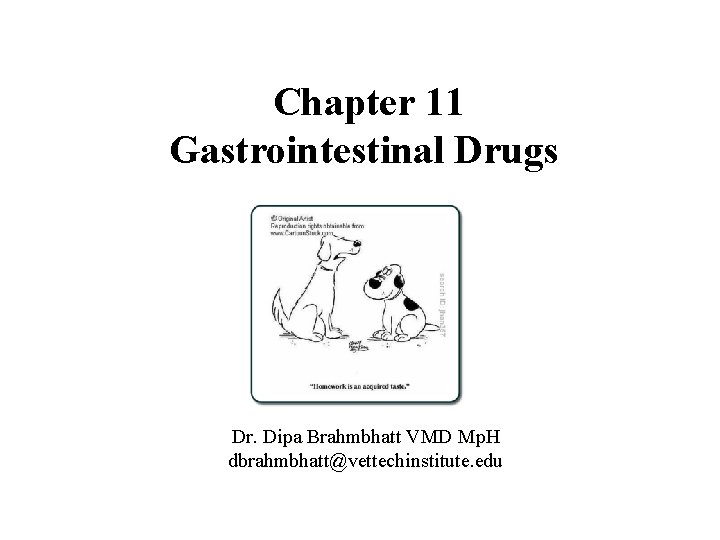 Chapter 11 Gastrointestinal Drugs Dr. Dipa Brahmbhatt VMD Mp. H dbrahmbhatt@vettechinstitute. edu 