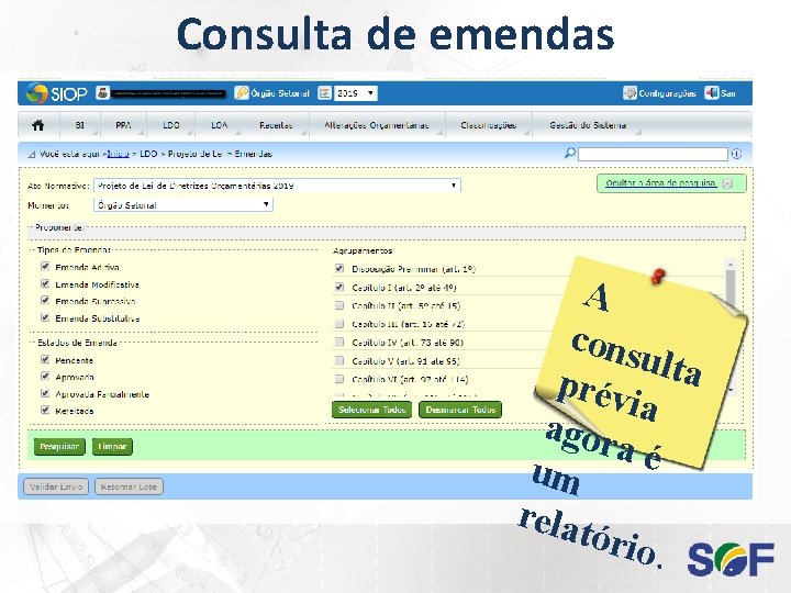 Consulta de emendas A cons ulta prév ia agor aé um relat ório. 