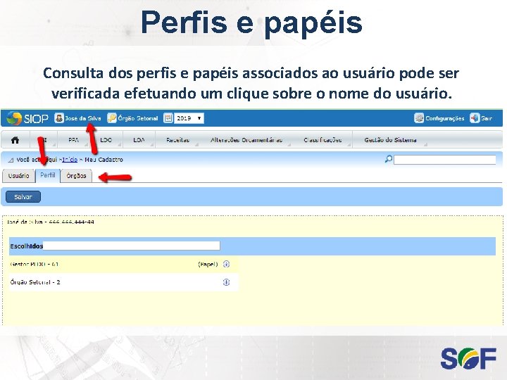 Perfis e papéis Consulta dos perfis e papéis associados ao usuário pode ser verificada