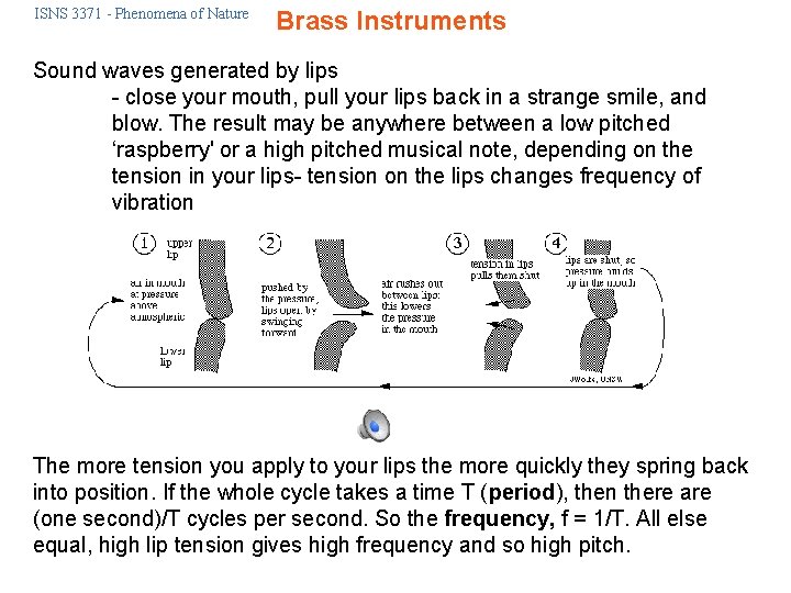 ISNS 3371 - Phenomena of Nature Brass Instruments Sound waves generated by lips -