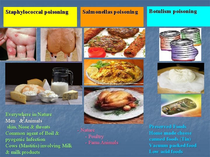 Staphylococcal poisoning Salmonellas poisoning Everywhere in Nature Men & Animals skin, Nose & throats Staphylococcal poisoning Salmonellas poisoning Everywhere in Nature Men & Animals skin, Nose & throats
