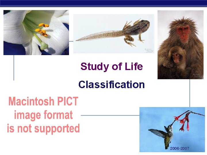 Study of Life Classification Regents Biology 2006 -2007 