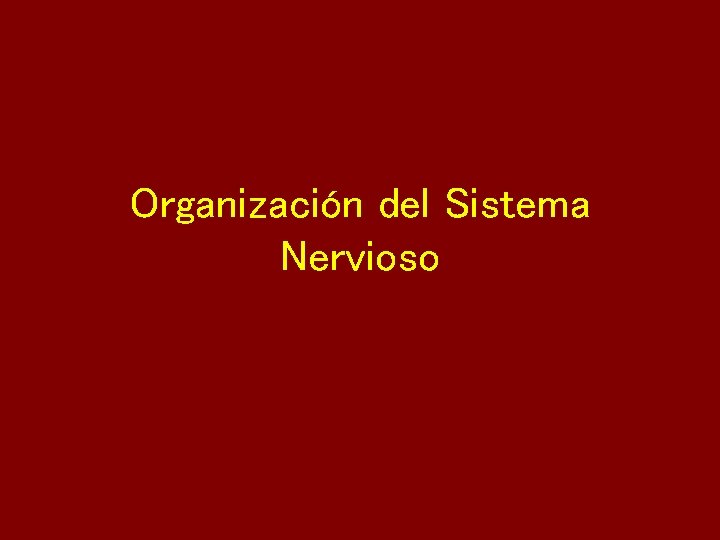 Organización del Sistema Nervioso 