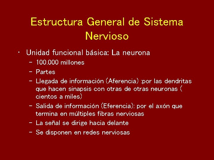 Estructura General de Sistema Nervioso • Unidad funcional básica: La neurona – 100. 000