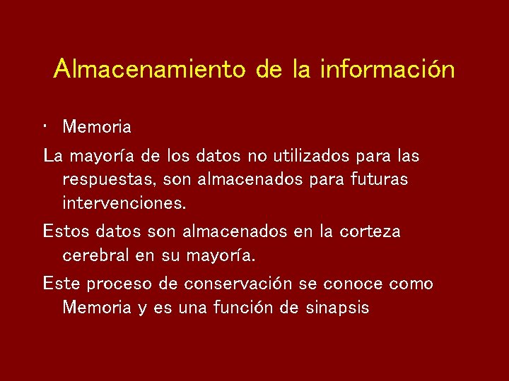 Almacenamiento de la información • Memoria La mayoría de los datos no utilizados para