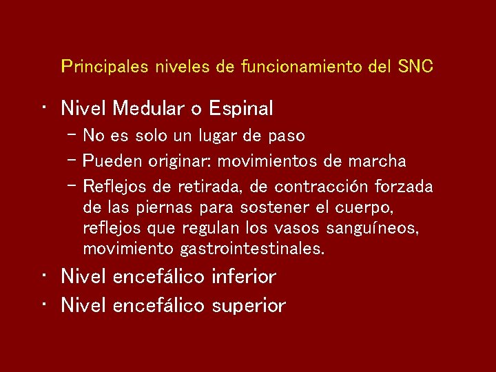 Principales niveles de funcionamiento del SNC • Nivel Medular o Espinal – No es