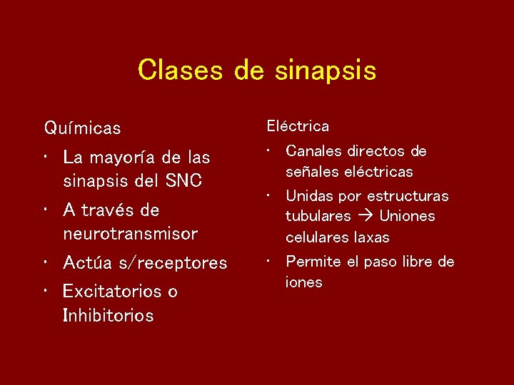 Clases de sinapsis Químicas • La mayoría de las sinapsis del SNC • A