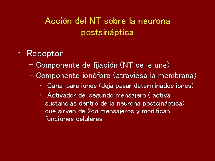Acción del NT sobre la neurona postsináptica • Receptor – Componente de fijación (NT